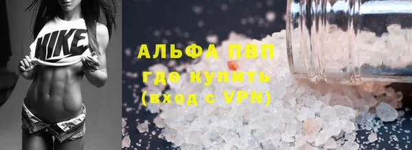 спайс Гусев