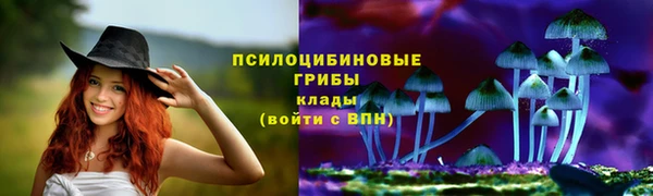 спайс Гусев