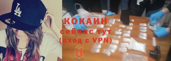 спайс Гусев