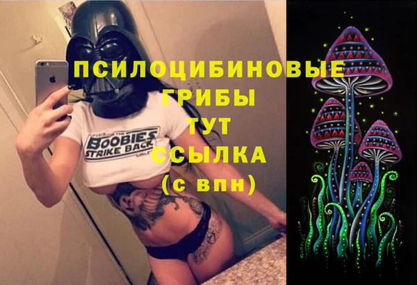 МДМА Гусиноозёрск