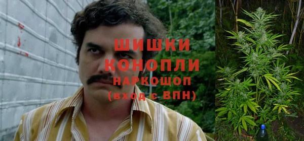 спайс Гусев