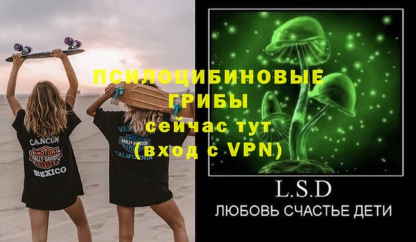 кокс Гусь-Хрустальный