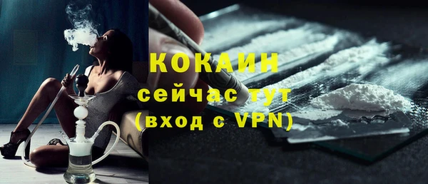 кокс Гусь-Хрустальный