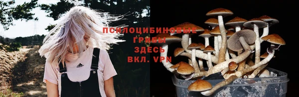 кокс Гусь-Хрустальный