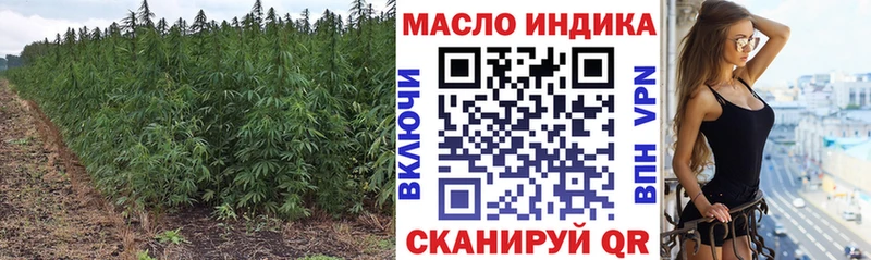 Купить закладки  Карасук  ТГК Wax 