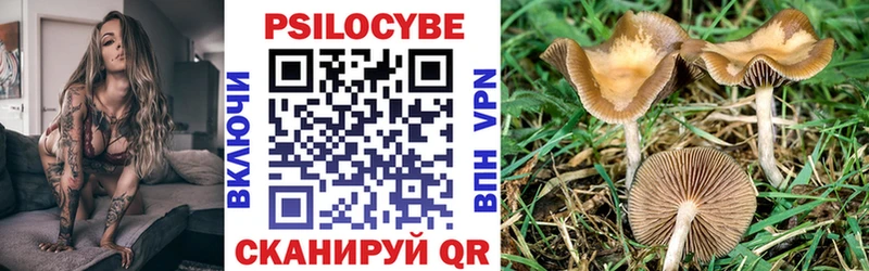 Купить где  Карасук  Псилоцибиновые грибы Magic Shrooms 