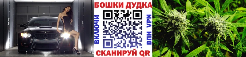 Шишки марихуана ГИДРОПОН  Купить где  Карасук 